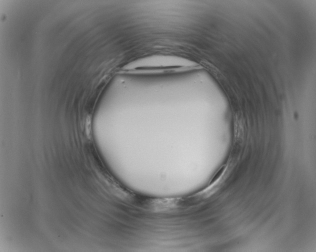 X0000062910094200602101843