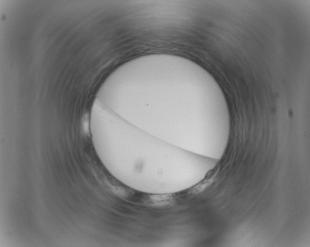 X0000062910095200602101843