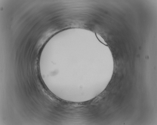 X0000062910098200602101842