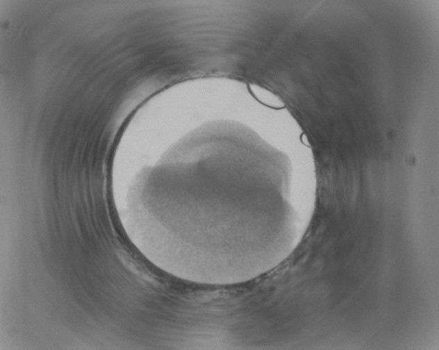 X0000062910100200602101842