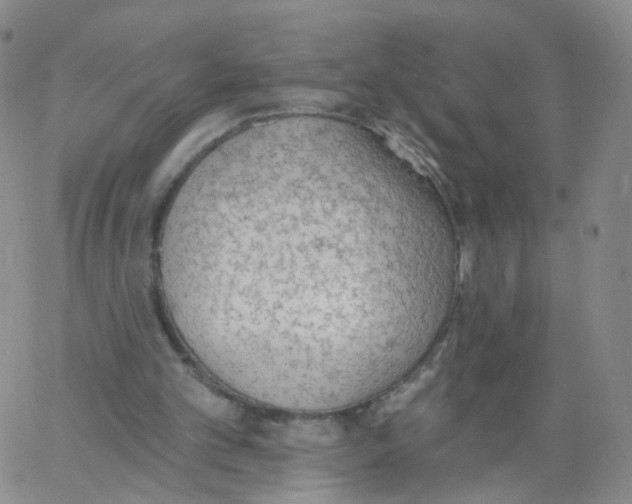 X0000062910101200602101842