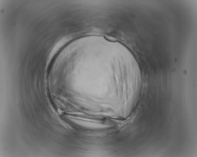 X0000062910102200602101842