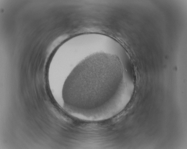 X0000062910104200602101842