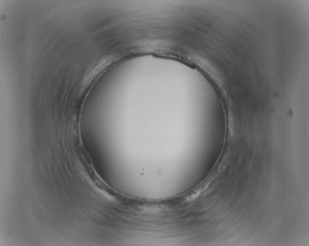 X0000062910105200602101842