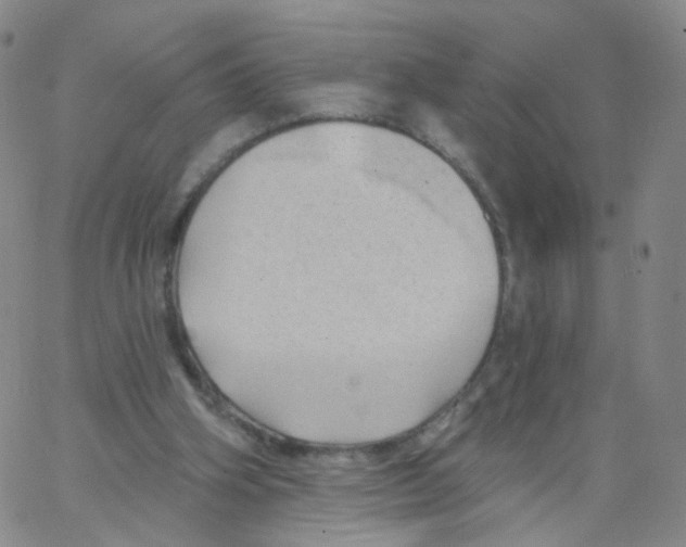 X0000062910106200602101842