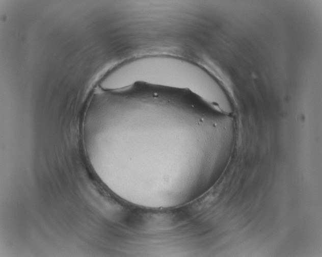 X0000062910107200602101842