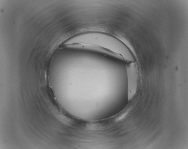 X0000062910109200602101842