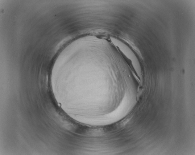 X0000062910110200602101842