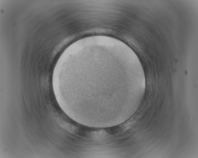 X0000062910112200602101842