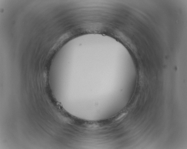 X0000062910113200602101842