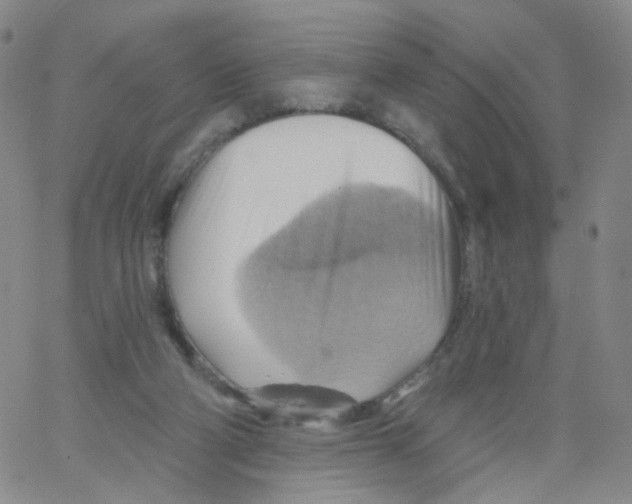 X0000062910114200602101842