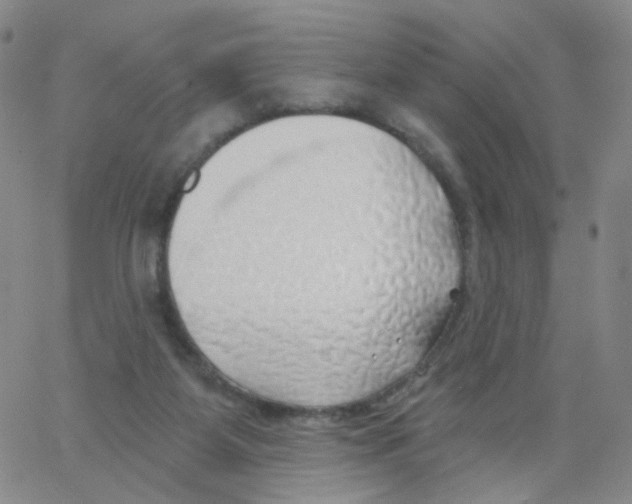 X0000062910115200602101842