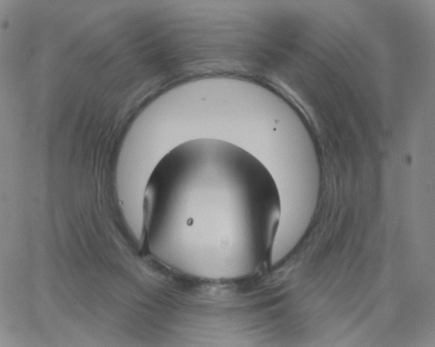 X0000062910117200602101841