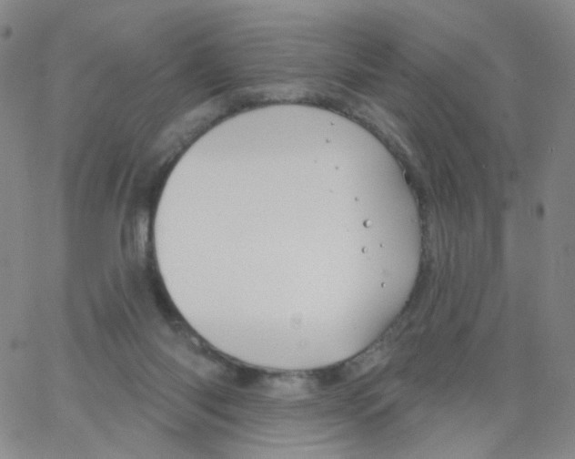 X0000062910118200602101841