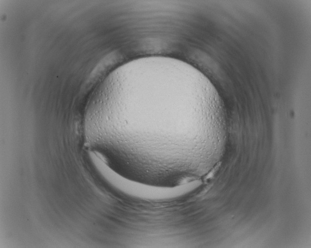 X0000062910119200602101841