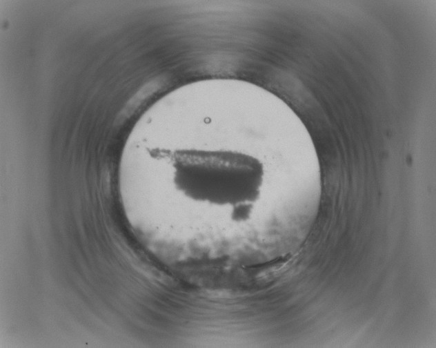 X0000062910120200602101841