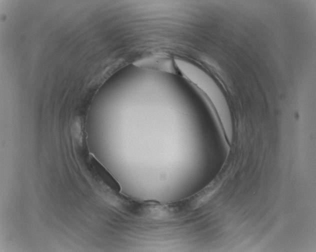 X0000062910121200602101841