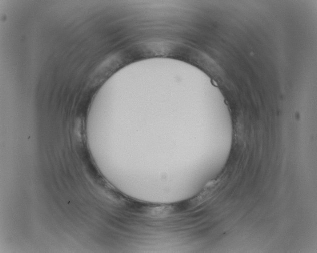 X0000062910122200602101841