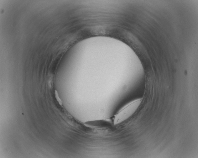 X0000062910125200602101841