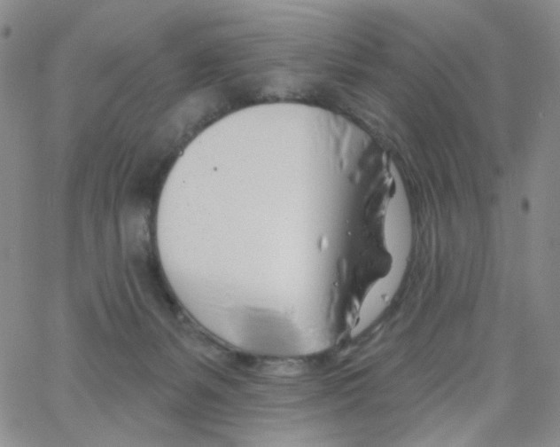 X0000062910127200602101841