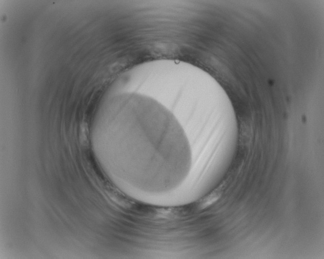 X0000062910130200602101841