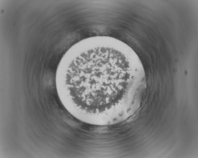 X0000062910132200602101841