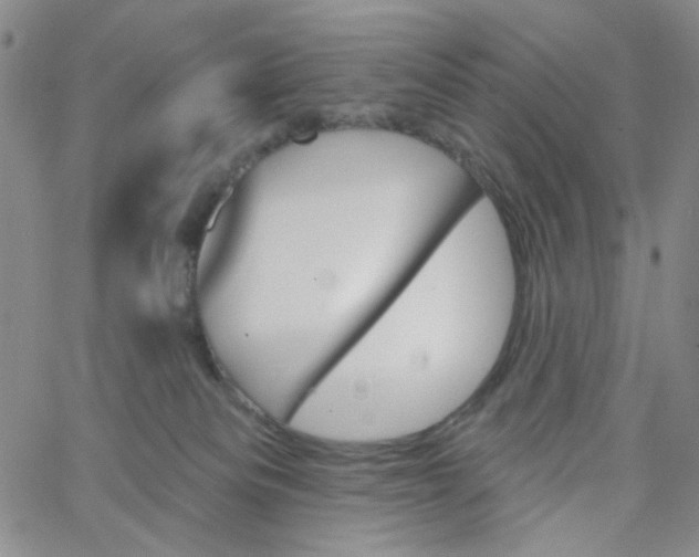 X0000062910133200602101841