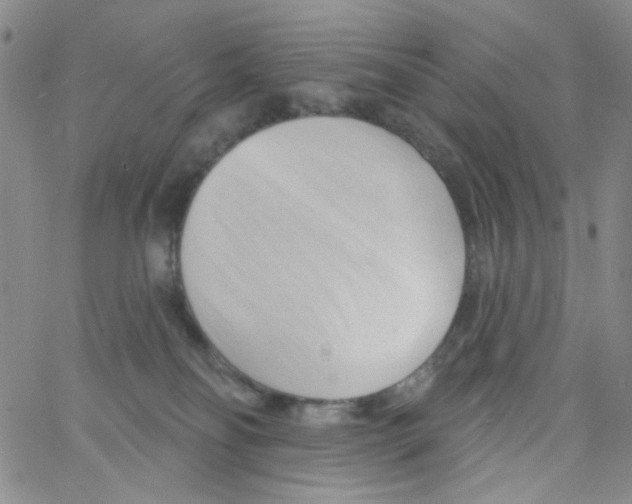 X0000062910134200602101841