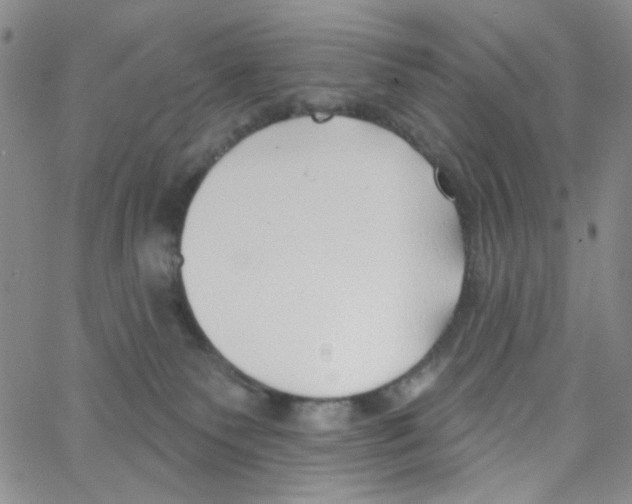 X0000062910135200602101841