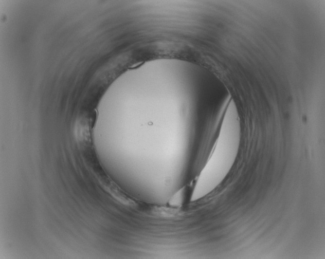 X0000062910137200602101841