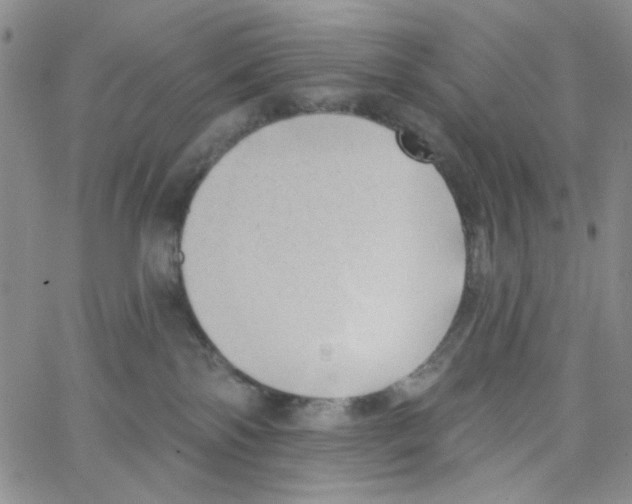 X0000062910138200602101841