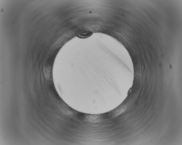 X0000062910139200602101841