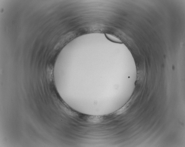 X0000062910142200602101841