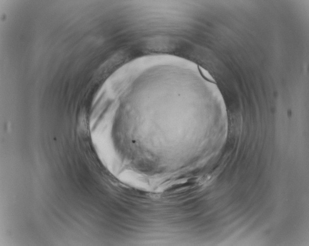 X0000062910143200602101841