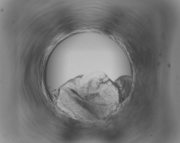 X0000062910145200602101840