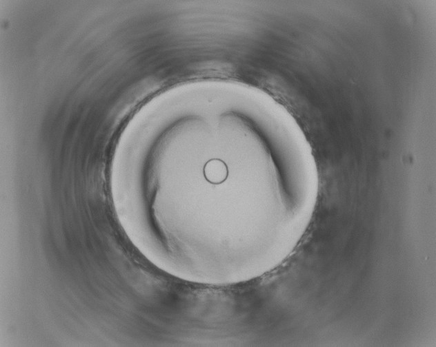 X0000062910146200602101840