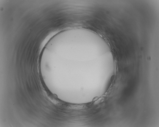 X0000062910147200602101840