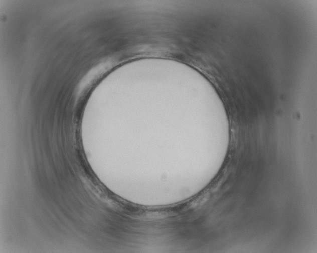 X0000062910149200602101840