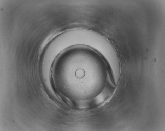 X0000062910150200602101840