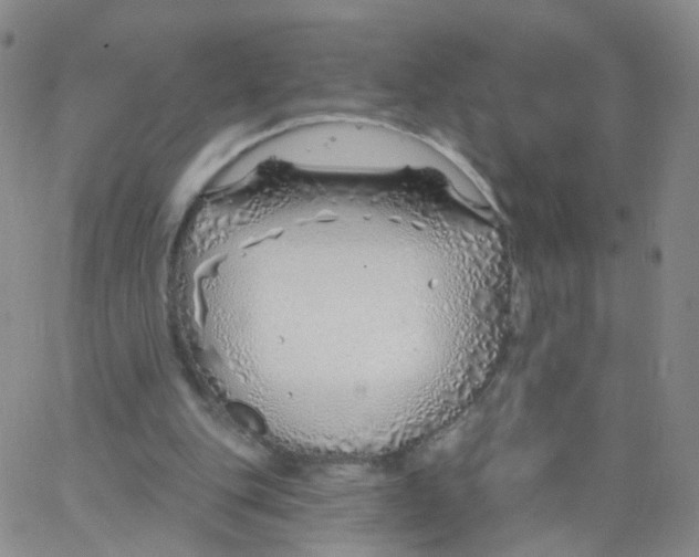 X0000062910151200602101840