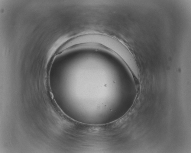 X0000062910152200602101840