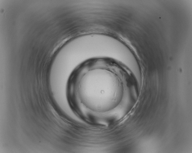 X0000062910154200602101840