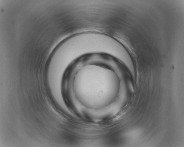 X0000062910156200602101840