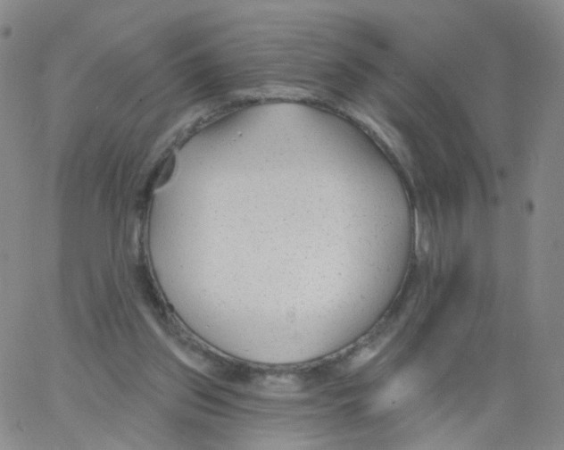 X0000062910157200602101840