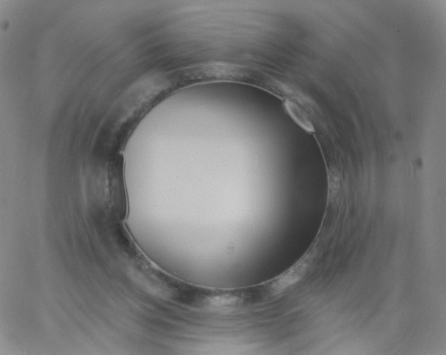 X0000062910158200602101840