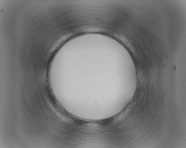 X0000062910159200602101841