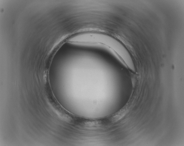 X0000062910160200602101841