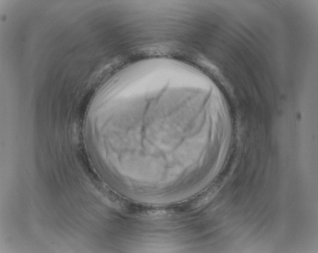 X0000062910161200602101841