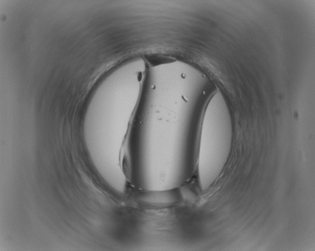 X0000062910164200602101841