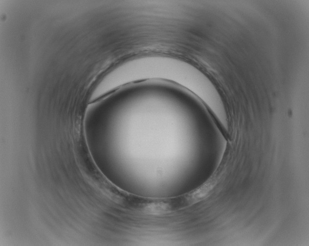 X0000062910168200602101841